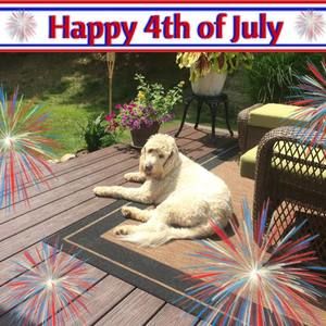 Meet your Posher, Lynn